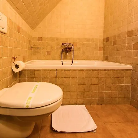 Ξενοδοχείο με διαμερίσματα Hotel****liptovsky Dvor Liptovský Ján