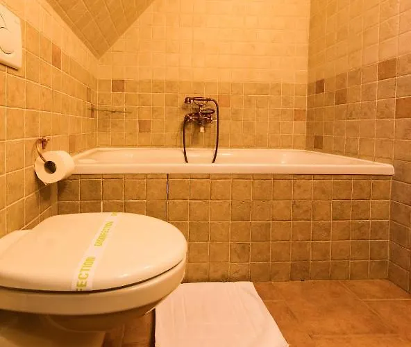 Aparthotel Hotel****liptovsky Dvor Liptovsky Jan