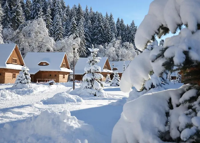 Hotel****liptovsky Dvor 4*